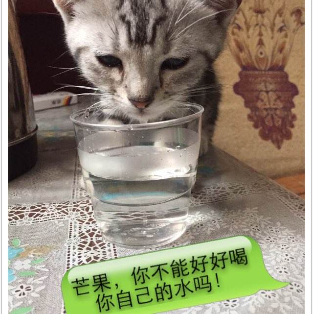 房产证是父母名字,父亲去世怎么过户子女